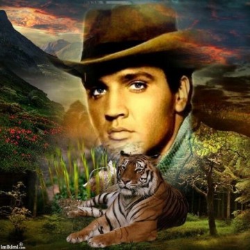 Elvis cowboy