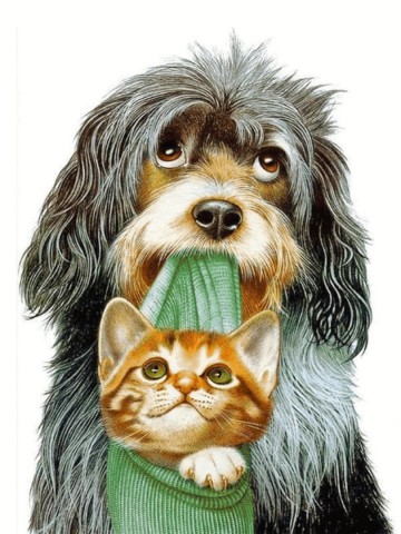 Il1588xn37878133363ggg