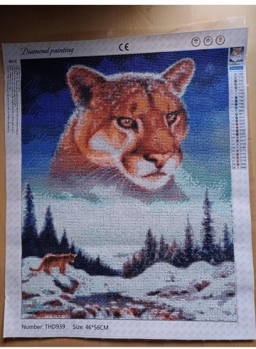 Photo 2024 05 03 22 12 48