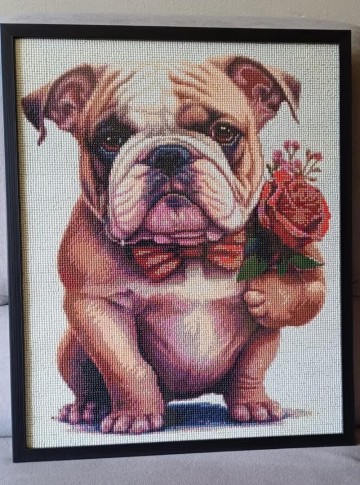 Photo 2025 03 29 13 13 46