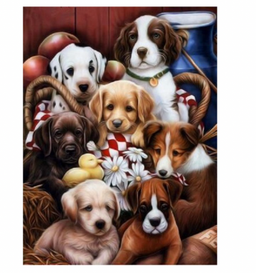 Schermafbeelding 2025 04 10 om 000023