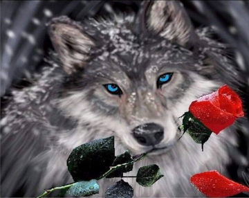 Schermafbeelding 2026 01 09 om 130158